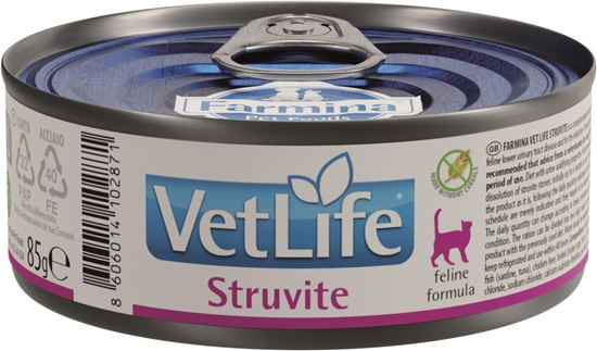 Farmina VetLife Struvite Nassfutter Katze_2147483647