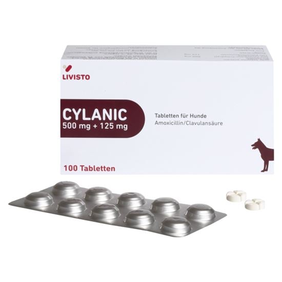 Cylanic 500 mg + 125 mg Tabletten_2147483647