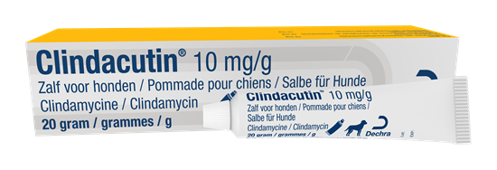 Clindacutin® Salbe für Hunde 10 mg/g_2147483647