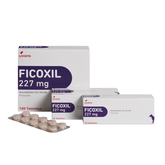 Ficoxil 227 mg Kautabletten_2147483647