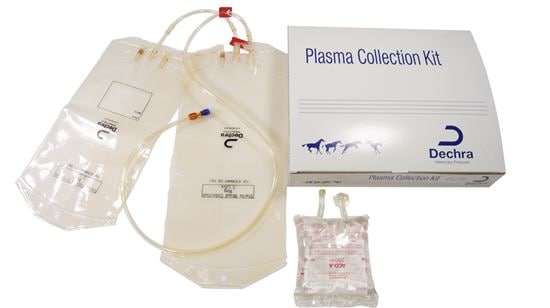 Equine Plasma Collection Kit_2147483647