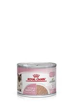 Royal Canin Mother & Babycat Mousse für tragende Katzen und Kitten_2147483647