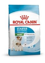 Royal Canin Starter Mini Trockenfutter für Hunde_2147483647