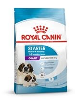 Royal Canin Giant Starter_2147483647