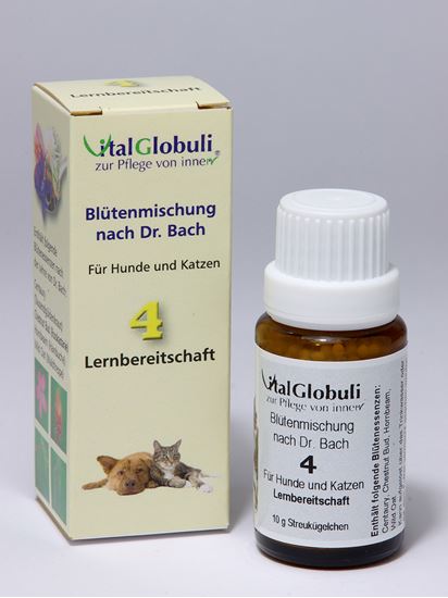 Bachblüten-Mischung Nr. 4 Lernen, Globuli_2147483647