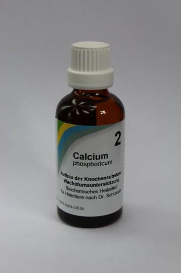 Schüßler Salz Nr. 2 Calcium phosphoricum, Dilution_2147483647