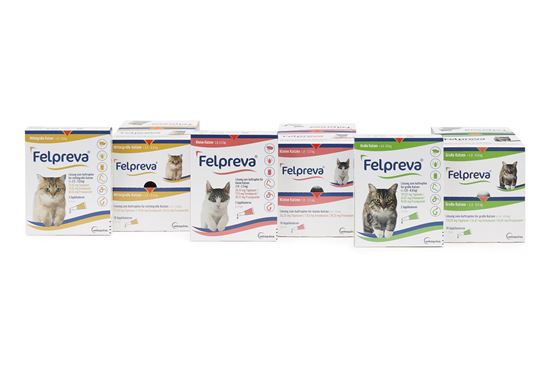 Felpreva für kleine Katzen (1-2,5kg)_0