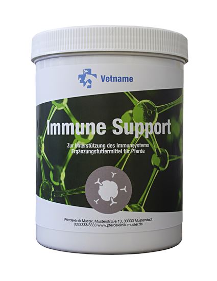 IMMUNE SUPPORT_2147483647