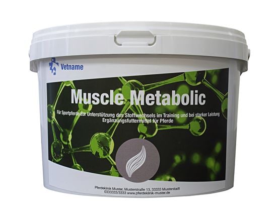 MUSCLE METABOLIC_2147483647