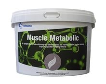 MUSCLE METABOLIC_1