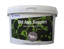 OLD AGE SUPPORT_1