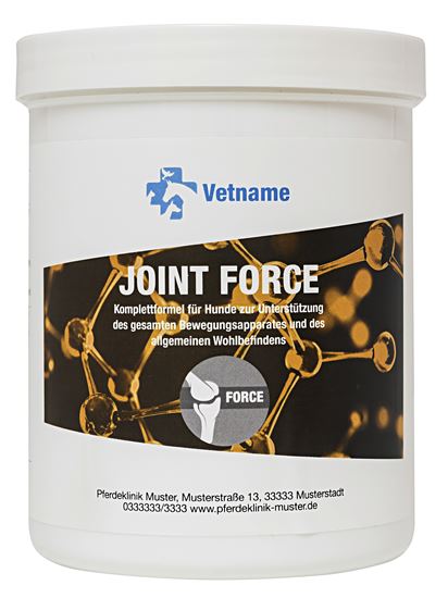 JOINT FORCE_2147483647