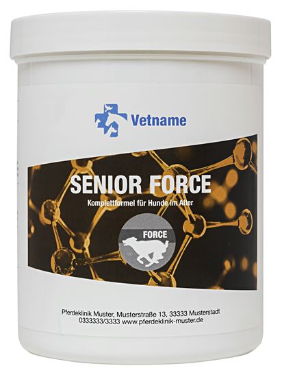 SENIOR FORCE_2147483647