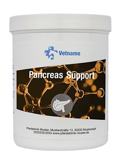 PANCREAS SUPPORT_2147483647