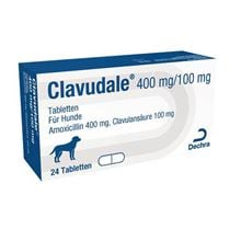 Clavudale 400/100 mg_1