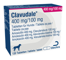 Clavudale 400/100 mg Tabletten_0