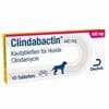 Clindabactin® 440 mg_2147483647