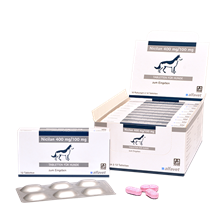 Nicilan 400 mg/100 Tabletten mg für Hunde_1