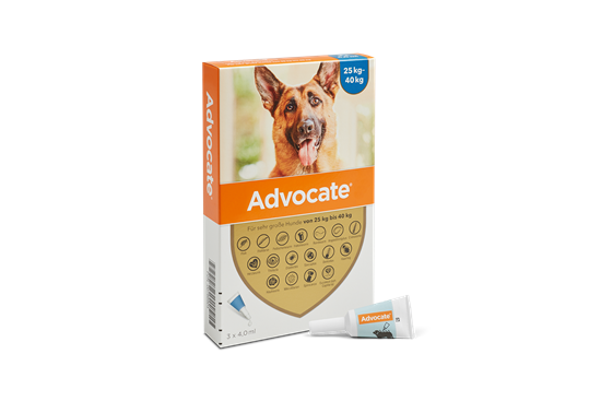 Advocate® 400 Hund (25-40 kg)_2147483647