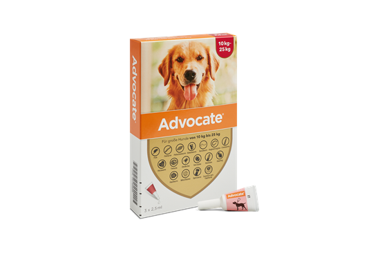 Advocate® 250 Hund (10-25 kg)_2147483647