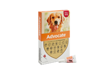 Advocate 250 Hund (10-25 kg)_1