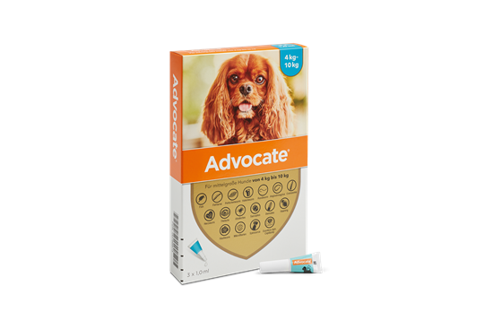 Advocate® 100 Hund (4-10 kg)_2147483647