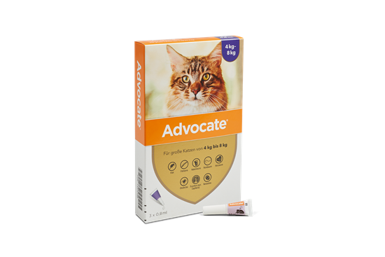 Advocate® 80 Katze (4-8 kg)_2147483647