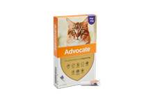 Advocate 80 Katze (4-8 kg)_1