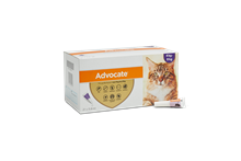 Advocate 80 Katze (4-8 kg)_1