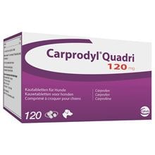 Carprodyl Quadri 120 mg_1