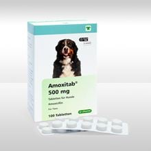 Amoxitab 500 mg Tabletten für Hunde_1