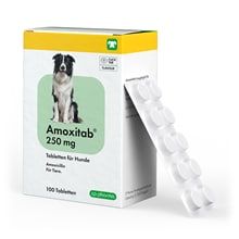 Amoxitab 250 mg Tabletten für Hunde_1