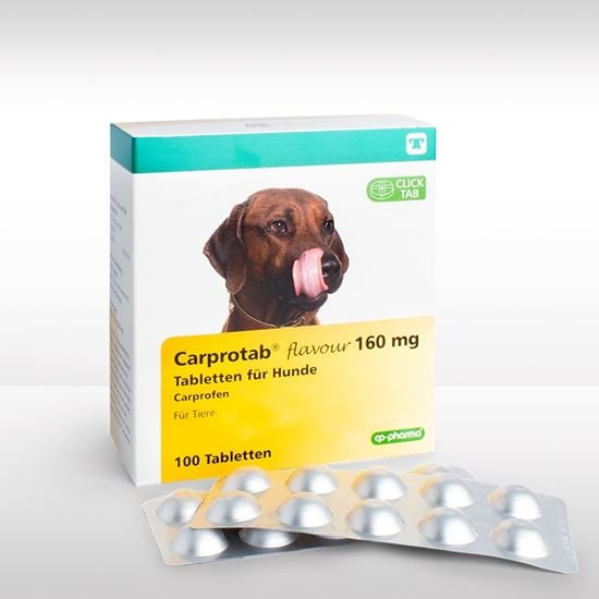 Carprotab flavour 160 mg Tabletten für Hunde_2147483647