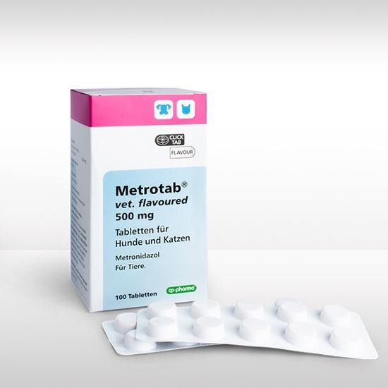 Metrotab vet. flavoured 500 mg Tabletten_2147483647