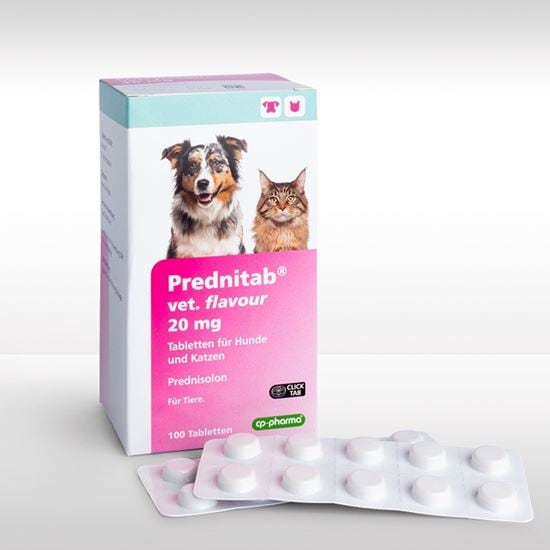 Prednitab vet. flavour 20 mg Tabletten_2147483647