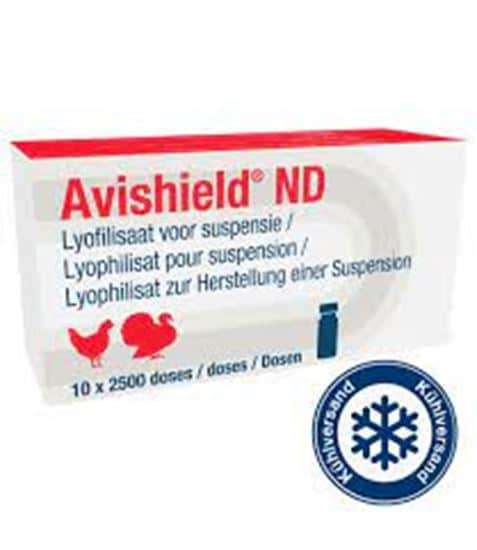 Avishield ND Impfstamm LaSota_2147483647