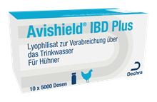 Avishield IBD plus Impfstamm G6_0