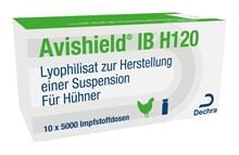 Avishield IBH120 Impfstamm Massachusetts_0