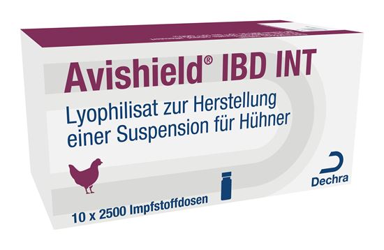 Avishield IBDINT Impfstamm VMG-91_2147483647