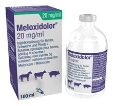 Meloxidolor Inj. 20 mg/ml_1