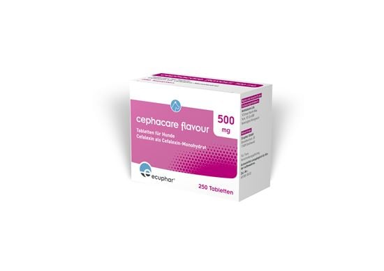 Cephacare Flavour 500 mg Tabletten_2147483647