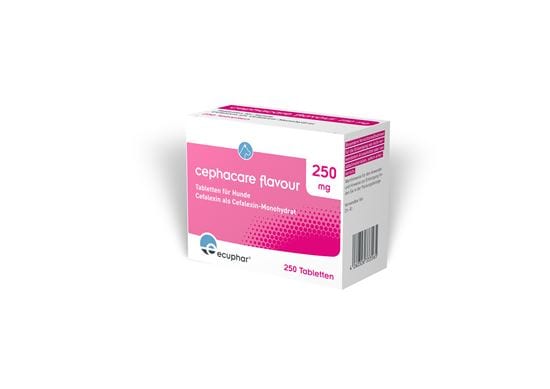 Cephacare Flavour 250 mg Tabletten_2147483647