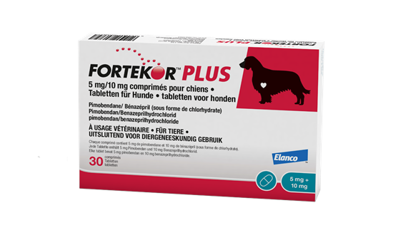 Fortekor® Plus 5 mg / 10 mg Tabletten für Hunde_2147483647