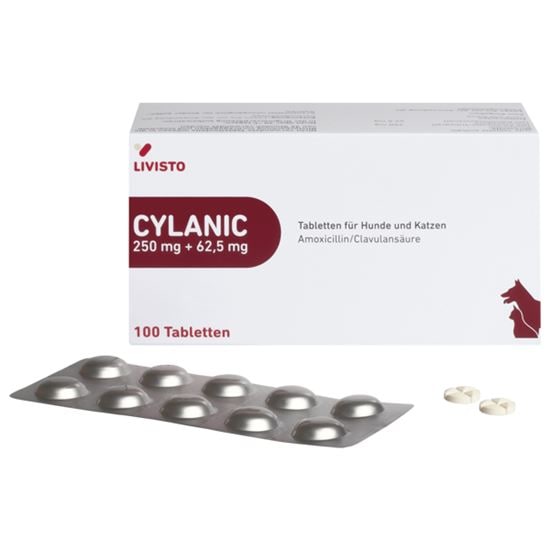 Cylanic 250 mg + 62,5 mg Tabletten_2147483647