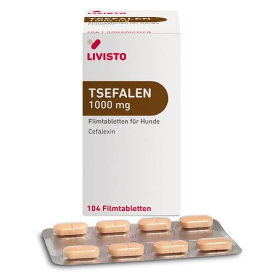 Tsefalen 1000 mg Tabletten_2147483647