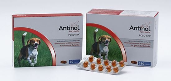 Antinol für Hunde Kapseln_2147483647