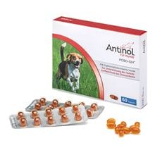 Antinol für Hunde Kapseln_0