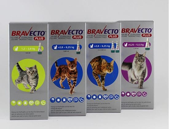 Bravecto PLUS Spot On 500 mg/25 mg für Katzen > 6,25 bis 12,5 kg_2147483647