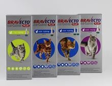 Bravecto PLUS Spot On 500 mg/25 mg  für Katzen > 6,25 bis 12,5 kg_0