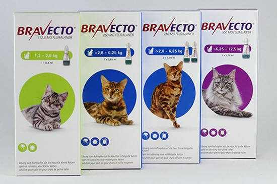 Bravecto Spot On 500 mg für Katzen > 6,25 bis 12,5 kg_2147483647